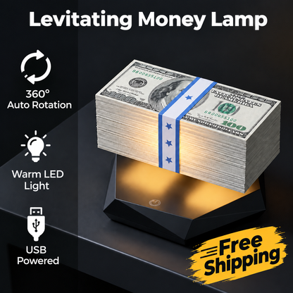 Floating Money Lamp Levitating  GTA Vice City Style